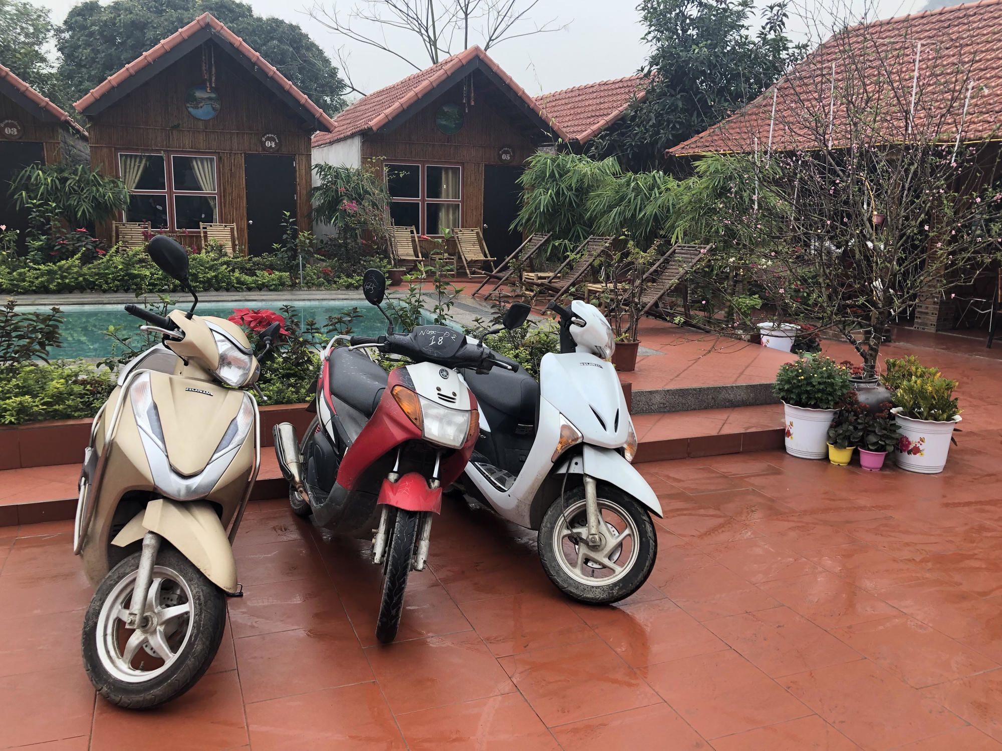 Tam Coc Garden Homestay Ninh Binh Buitenkant foto