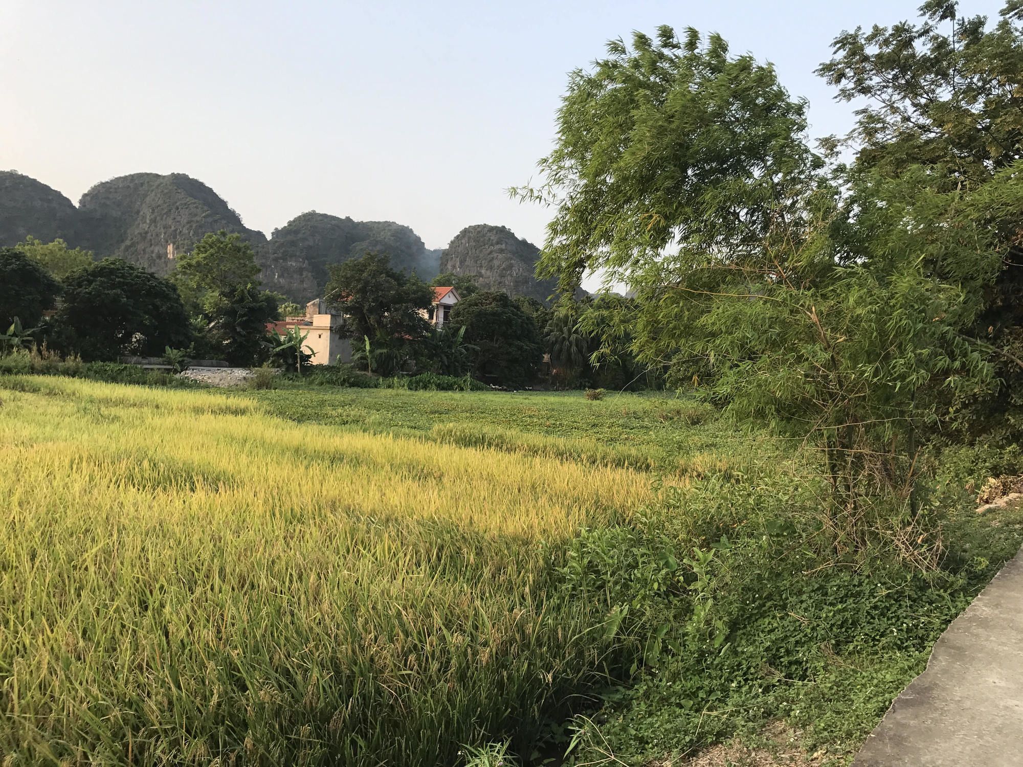 Tam Coc Garden Homestay Ninh Binh Buitenkant foto