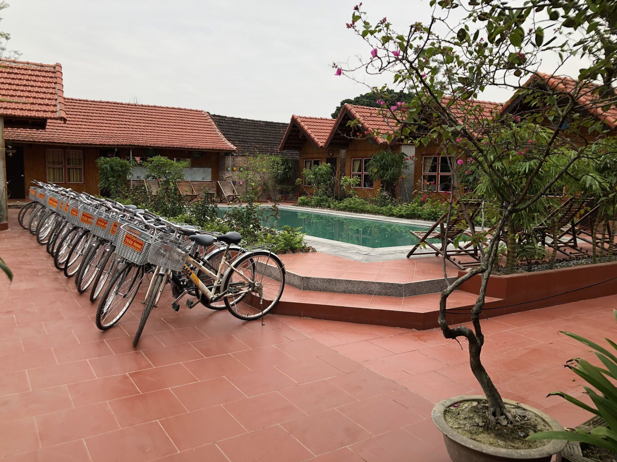 Tam Coc Garden Homestay Ninh Binh Buitenkant foto