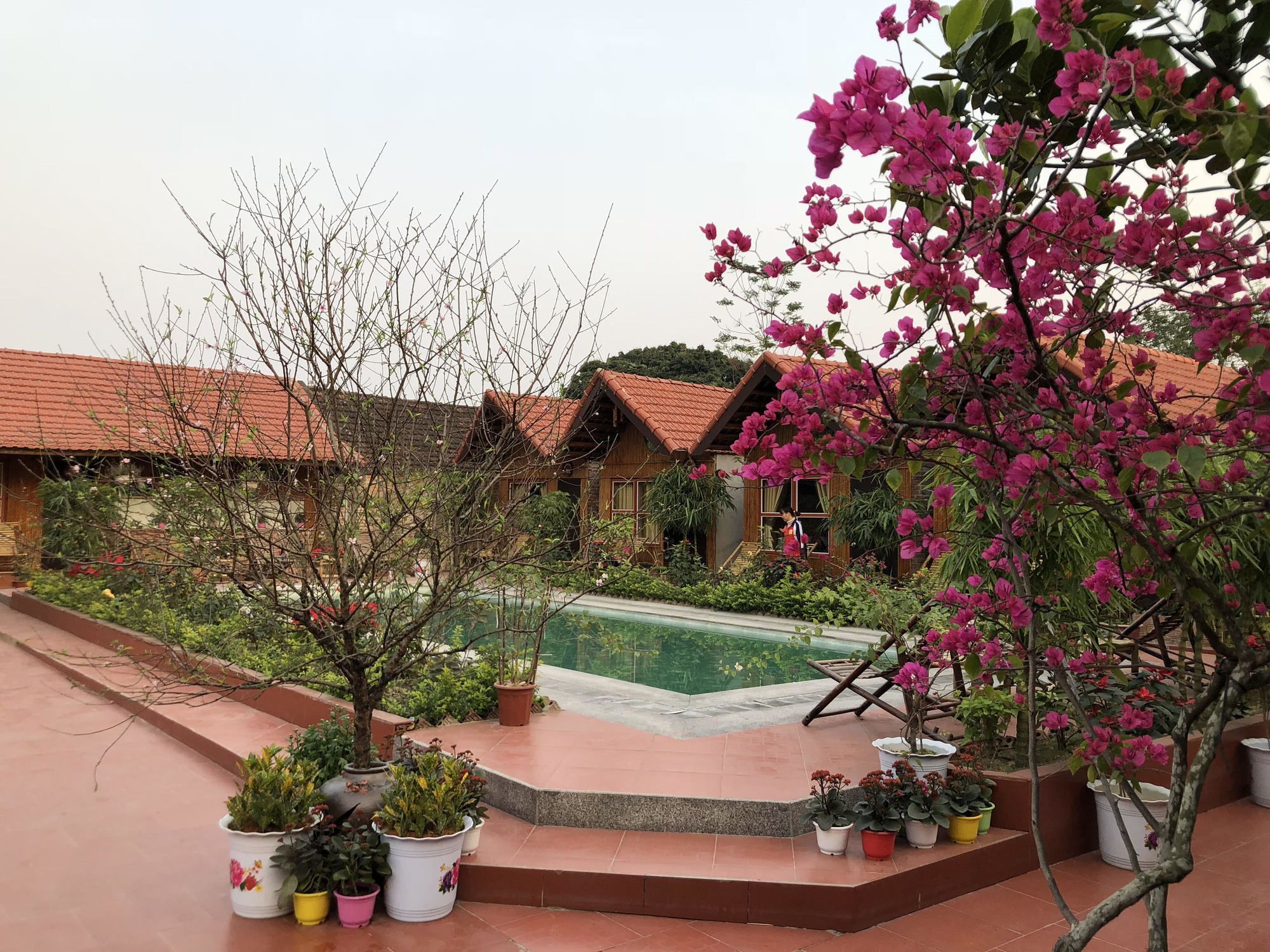 Tam Coc Garden Homestay Ninh Binh Buitenkant foto