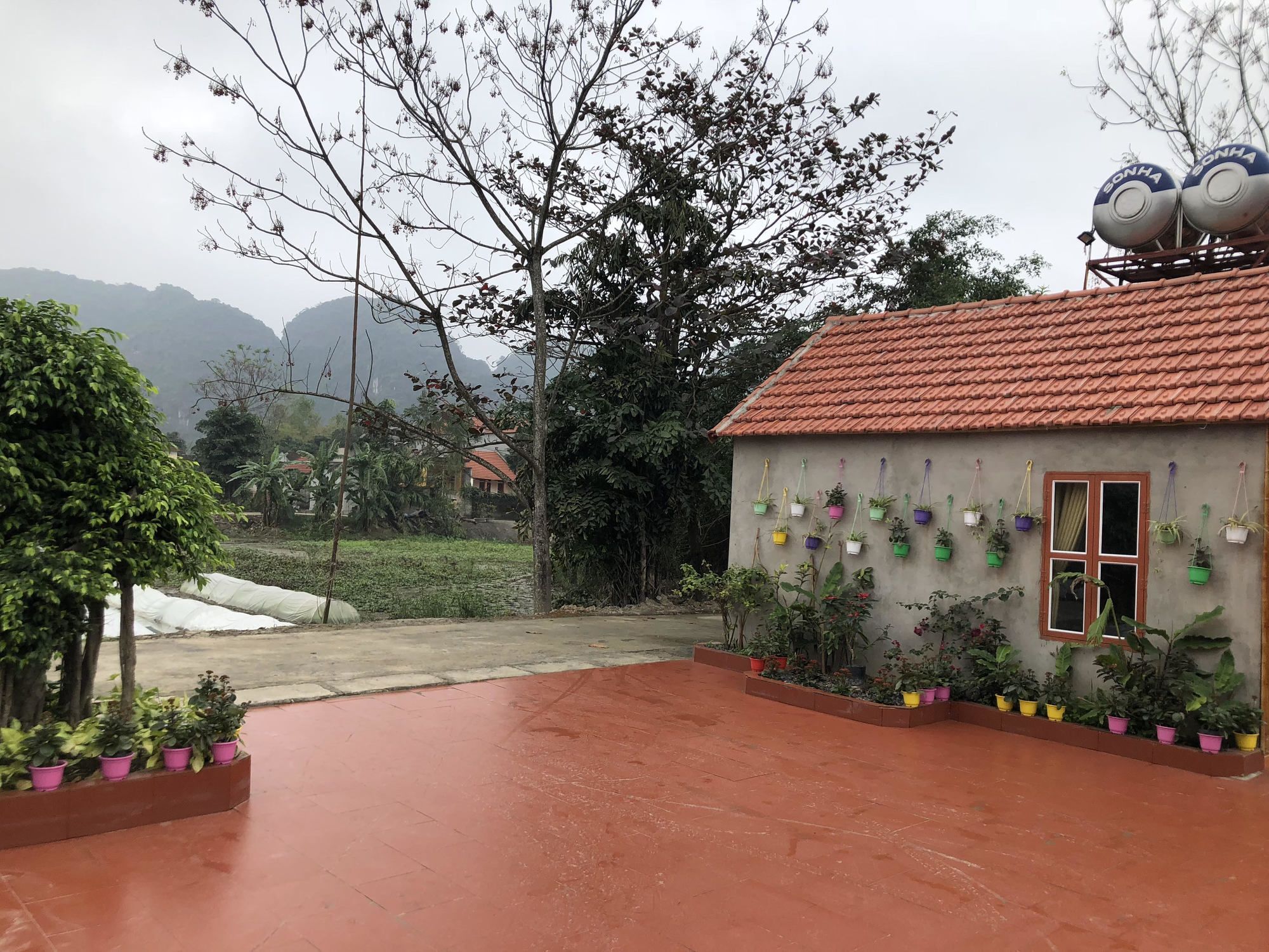 Tam Coc Garden Homestay Ninh Binh Buitenkant foto